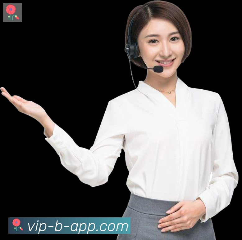未来规划